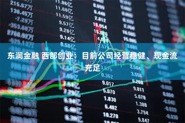 东润金融 西部创业：目前公司经营稳健、现金流充足